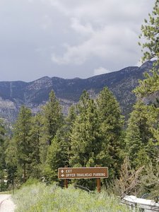 Cathedral Rock Trailhead