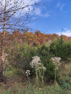 The Aspen spur hiking trail