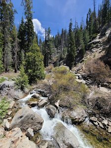 Bear Creek Falls