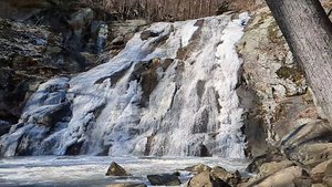 Whiteoak Falls (Lower)
