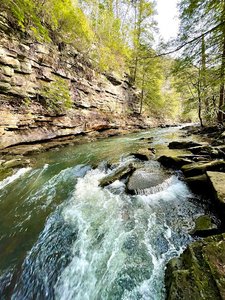 Piney Falls Trailhead
