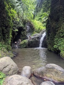 Waimānalo Forest Reserve (Maunawili Sec.)
