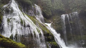 Panther Creek Falls Trailhead