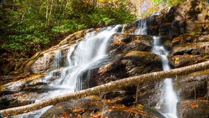 Lower Higgins Creek Falls