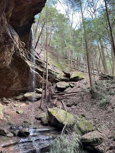 Sheick Hollow