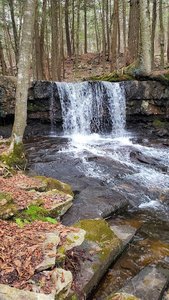 Dutchman Falls