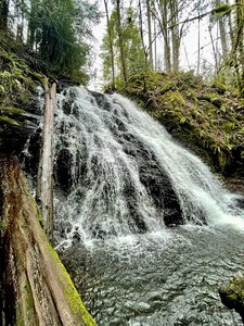 Dickerson Creek Falls Trailhead