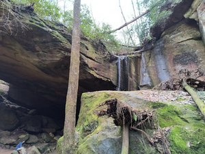 Whittleton Arch