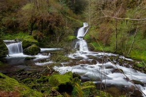 Punchbowl Falls