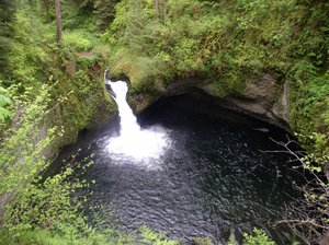 The Fall