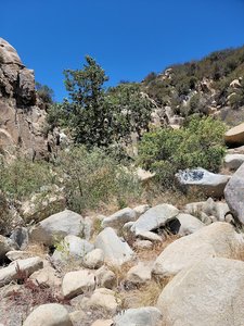 Ortega Falls Day Use Site