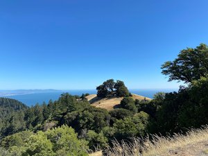 Laurel Dell Trailhead