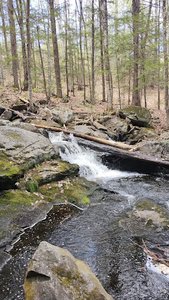 Alan & Edgar Rice Nature Preserve
