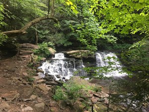 Falls Natural Trail, Rickett’s Glen