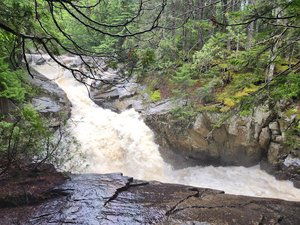Cascade Stream Gorge Trail