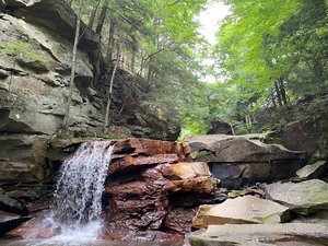 Fallbrook Falls