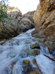 Willard Canyon