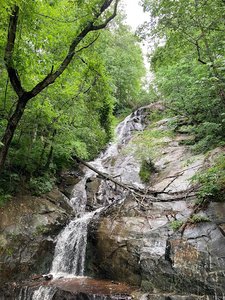 Silvervale Falls