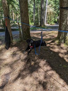 Lost Creek Campground