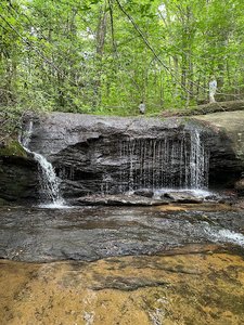 Wildcat Branch Upper Falls
