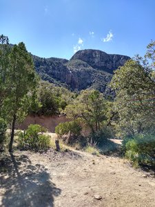 Carr Canyon