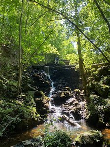 Pinhoti Trail AL CR24 Trailhead