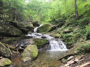 Mill Creek Falls (York Co.) Trail