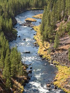 Gibbon River
