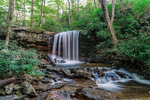 Cole Run Falls