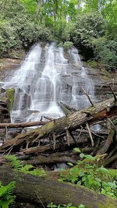 Bee Cove Falls Trailhead