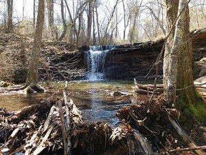 Lost Falls Trailhead