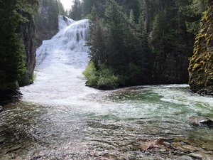 Walupt Creek Falls