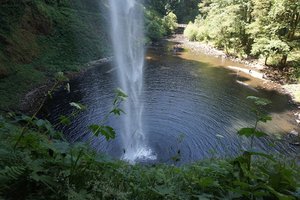 Frenchie Falls