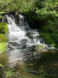 Ogemaw Falls