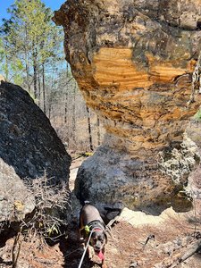 Peachtree Rock Trail