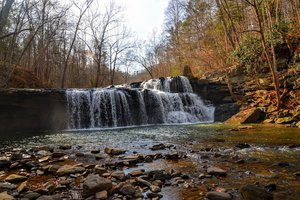 Brush Creek Preserve