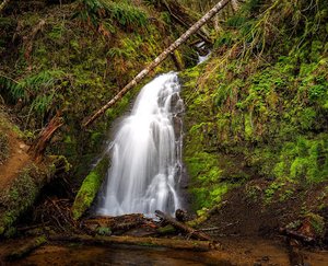 Fern Rock Falls