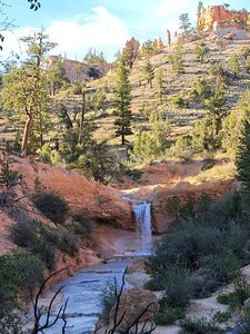 Mossy Cave Trailhead