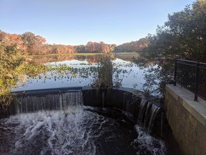 Mill Pond Preserve Wantagh