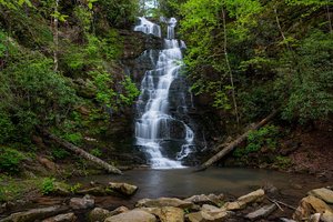 Reedy Branch Falls Trailhead