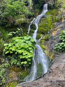 Codfish Falls