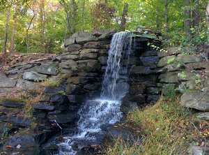 Winkler Botanical Preserve