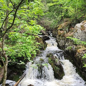 Reany Falls