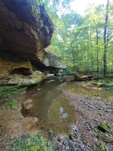 Piney Creek Ravine Nature Preserve