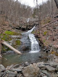 Lower Shamokin Falls Trail