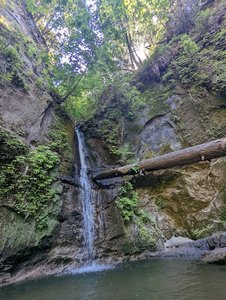 Maple Falls