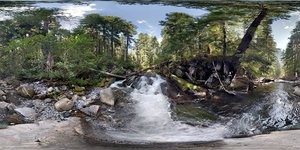 Carter Falls
