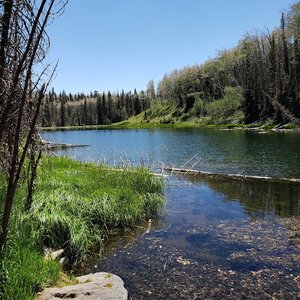 Dougherty Basin