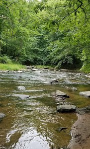 Little Gunpowder Falls State Park Trailhead