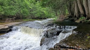 Whitefish Falls